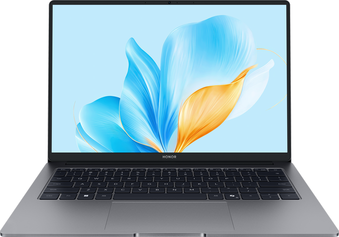 Ноутбук HONOR MagicBook X14 2025 16GB/512GB [FRG-X] (5301ALWG) серый