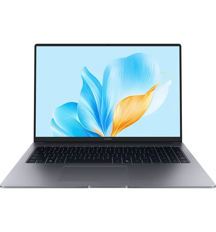 Ноутбук HONOR MagicBook X16 2025 16GB/1TB [BRG-561] (5301ALWL) серый