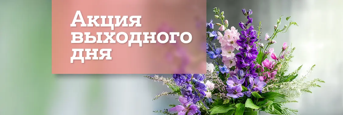 c7bbab73-5a7f-44c4-9afb-05e616360f87.webp