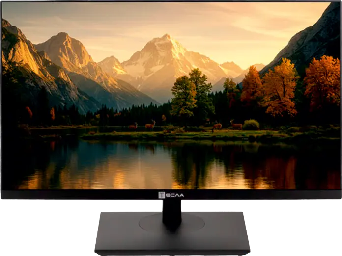 Моноблок Тесла 16/500GB R27BPQ35 [2416500]