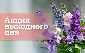 Карточка Акции Выходные с грандиозными скидками до 2000 рублей в А1