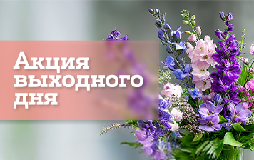Карточка Акции Уикенд выгодных покупок в A1 — гаджеты со скидками до 2400 рублей!