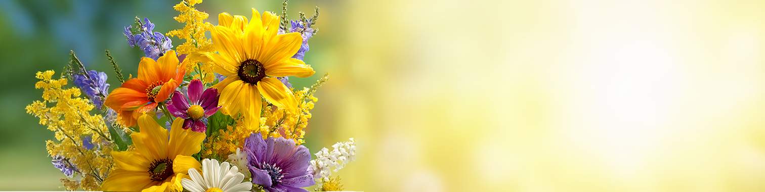 1b8de3c3-2c5b-4de7-ae11-6eb376d834e6.webp