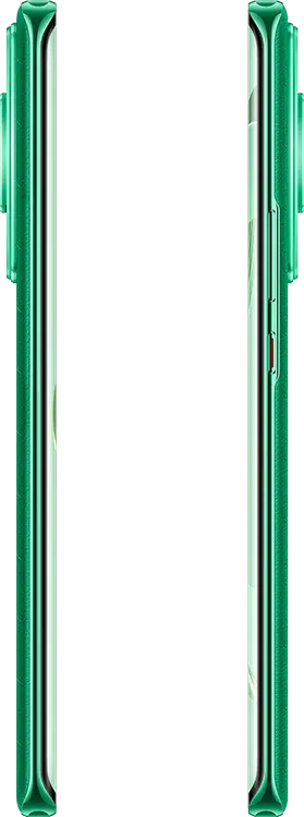 /smartphones/Huawei_Nova_11_Pro_8_256_GOA-LX9_Grn_1020311/89d5b11b-62a3-41e4-9af3-c6096acbe024.webp