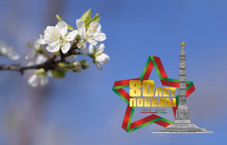 /socialnye_i_specialnye_tarify/Pobeda_1_904_30_3560/40c2aeba-02ce-4b47-acbd-b2cb0e135502.jpg